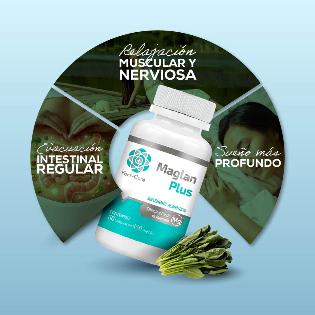 Fort Core – Tienda Bienesta México