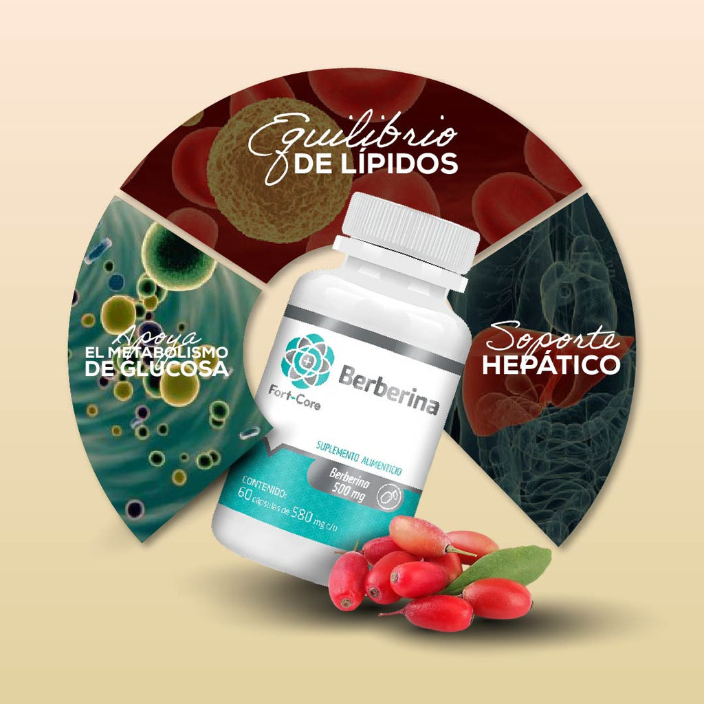 Fort Core – Tienda Bienesta México